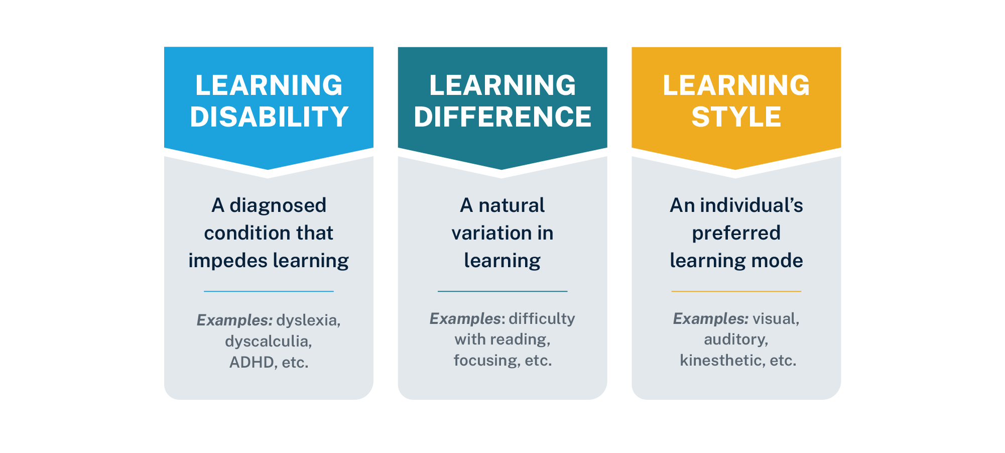 Image depicting the differences between learning disabilities, differences and styles
